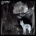 Shaman Blues