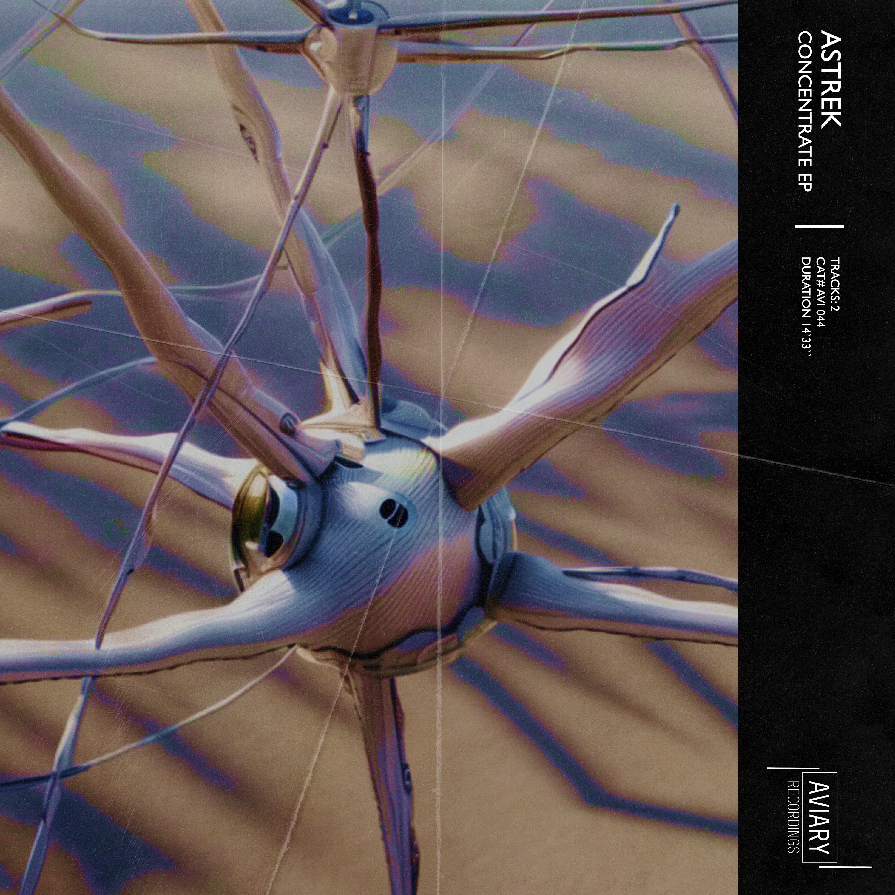 Concentrate - Single