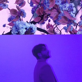 Idyll (feat. Anouré) Alex Nothing