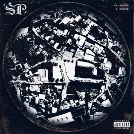 DOMANDE (feat. Dahel) Zomma & Goosaif