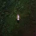 Little Wanderer