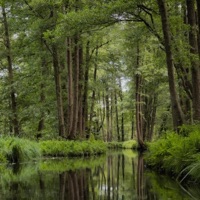 wondering - Single - Sebastian Jautschus