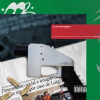 Luigi Mangione - Single - Sinmc