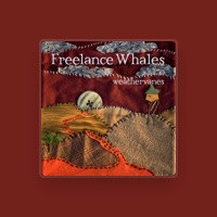 Freelance Whales