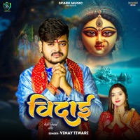 Vidai - Single - Vinay Tiwari