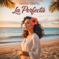 La Perfecta - Single - Digital Crates