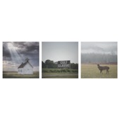 album
