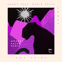 Power (Monkey Safari Remix) [feat. Mario Reyes] - Single - AMÉMÉ