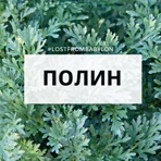 Полин - Single