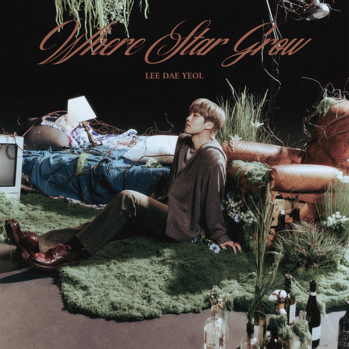 LEE DAEYEOL - Where Stars Grow - Single (2026) [iTunes Plus AAC M4A]-新房子