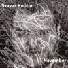 Icon November - Single