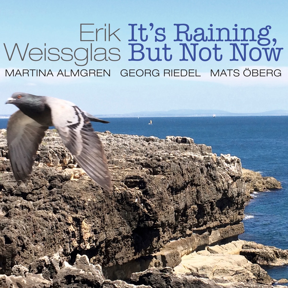 Обложка альбома «It's Raining, but Not Now» — Erik Weissglas
