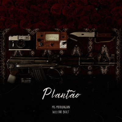 Plantão - Single