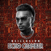 Echo Chamber (Gqom) - Single - Neillusion