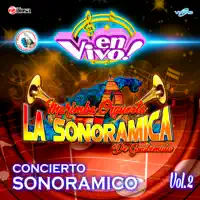 Mix Merengue Lluvia de Primavera — Marimba Orquesta La Sonoramica