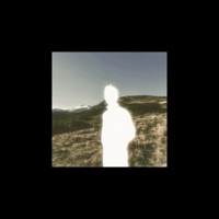 Nuts - Single - Romano