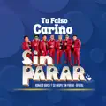 TU FALSO CARIÑO