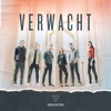 Insalvation - Verwacht