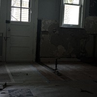 npfr (feat. ivvys1) - Single - zaphchive