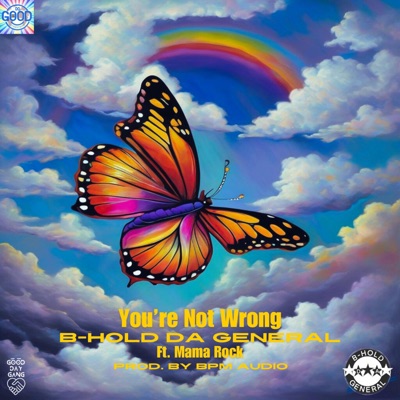 You're Not Wrong - Single