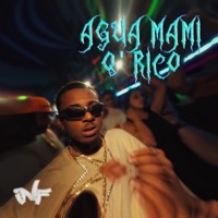 Agua Mami Q' Rico (feat. Kayser) - Single - LEGY