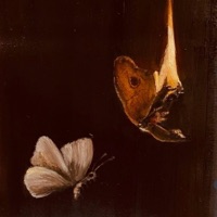 Cold Shoulders - Single - SadBoyForLife