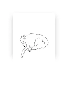 Posłuchaj wykonawcy petrolmancig, obejrzyj teledyski, przeczytaj biografię, zobacz daty tras koncertowych i nie tylko!