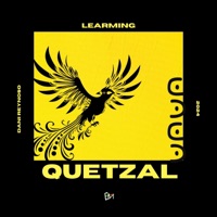 Quetzal (feat. Learming) [Remix] - Single - Dani Reynoso