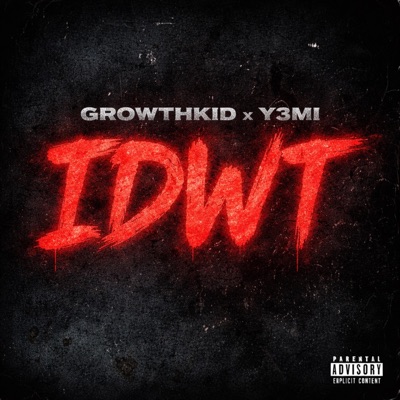 IDWT - Single