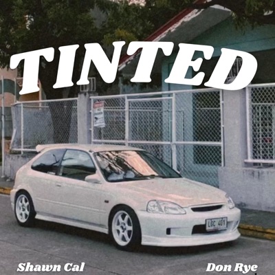 Tinted (feat. Don Rye) - Single