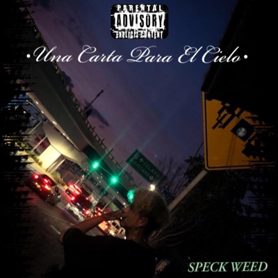 Una Carta Para El Cielo - Single