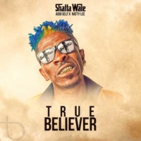 True Believer (feat. Natty Lee & Addi) - Single - Shatta Wale
