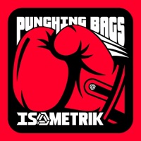 Punching Bags - Single - Isometrik
