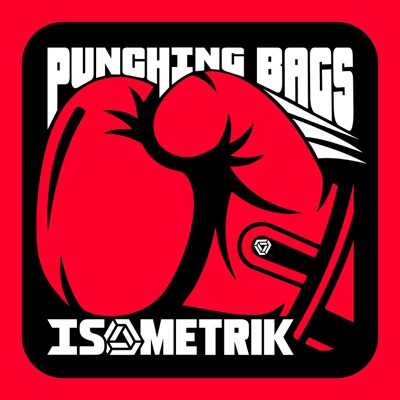 Punching Bags - Single