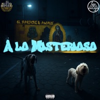A Lo Misterioso - Single - Amaus & El Bardog