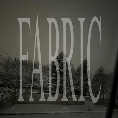 FABRIC (feat. Christ Like Kaya) - Single