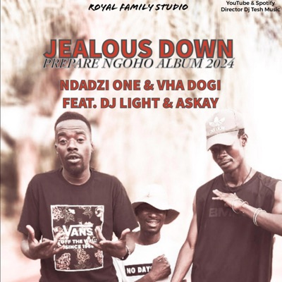 Jealous Down (feat. Ndadzi One, Vha Dogi, DJ Light & Askay) - Single