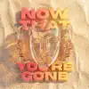 Now That You're Gone
