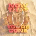Now That You're Gone