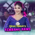 Kembang Rawe