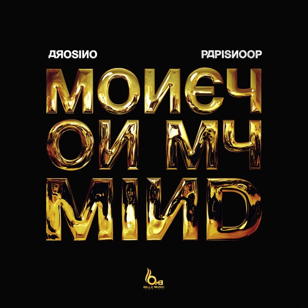 Money on My Mind (feat. Papisnoop)