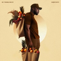 By Their Fruit - Kojo Dave