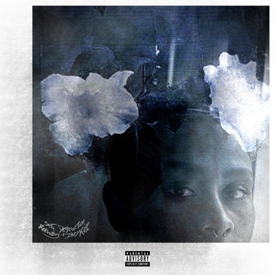 Self Destruction - Single