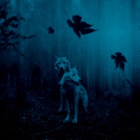 Trailo 2 - Single - La Kikada