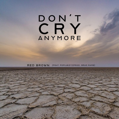 Don't Cry Anymore (feat. Popluezy) - Single