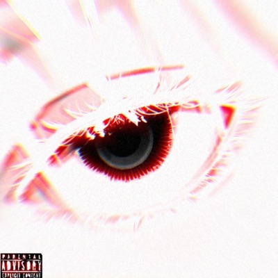 SHØTTA - BÅRB-WIRE