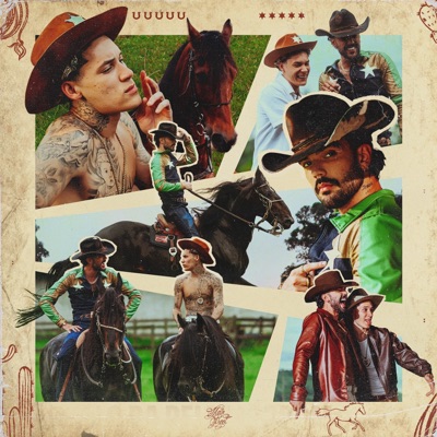 Alto Padrão - Single