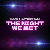 The Night We Met artwork