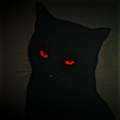 Zu gefährlich - Single