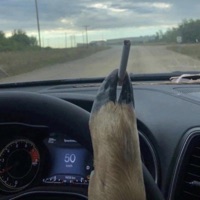 Toska - Single - Haunted hex